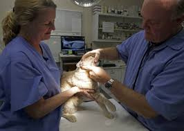 dc brown con una assistente