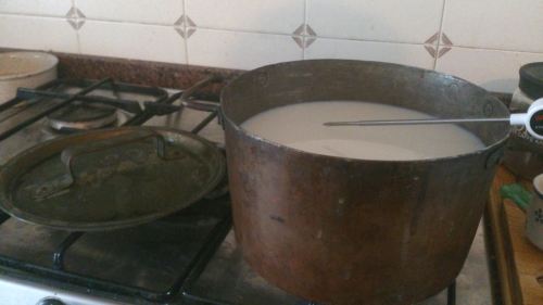 preparazione cagliata con latte crudo