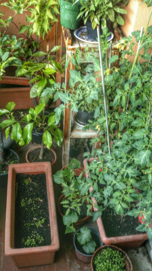 lo spazio e[ quello che e',le idee tante e dobbiao lottare cm su cm.ci sono anche le patate