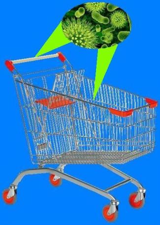 estremamente nocivi per la nostra salute.  è emerso che  ben il 70% dei carrelli della spesa presenza sull’ impugnatura tracce di batteri Escherichia coli, salmonella, staphylococcus, virus influenzali e gastrointestinali ecc.