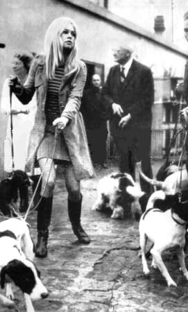 brigitte-bardot-animals