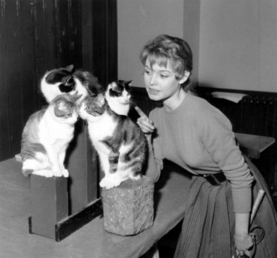 brigitte-bardot