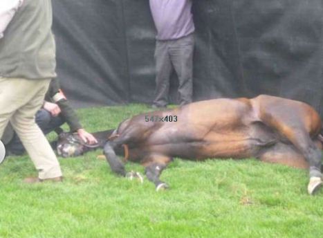 Wigmore,ormai privo di vita.Per me' e' un assassinio a sangue freddo,della peggior specie.