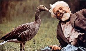 konrad lorez e le sue oche