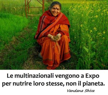 1461129_300124853491390_2247107543945540092_n