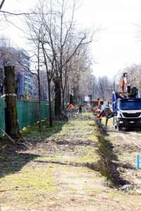 20150307_92479_alberi_milano2