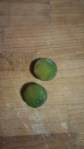 IMG_20160202_103525