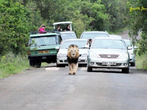 135703101-59fecf16-552a-4ab5-a570-321bf73c13dd