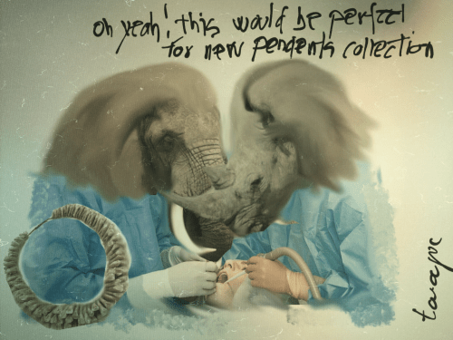 1B5F9D1F-2E66-4022-9D32-860C856F316D