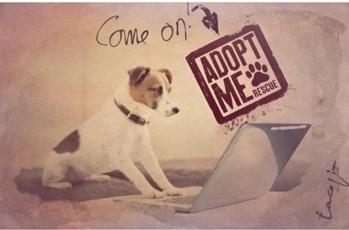 28312620-FC0A-4D12-B170-EF03DFB36F02