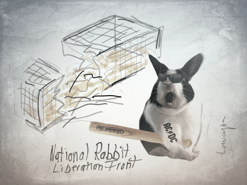 542FB5C6-DA89-44DD-973C-7727340C4F87