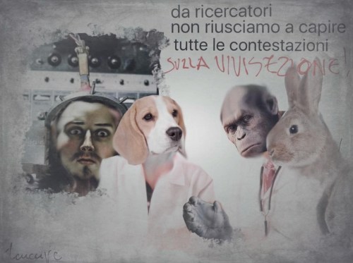 D2E2FE19-3AAC-4129-907A-A18A8A2231FF