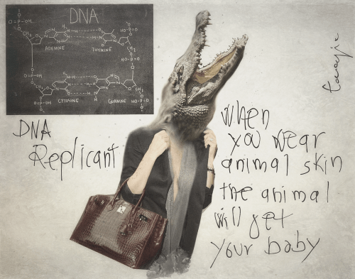 E84A942F-290F-44A6-9E3D-B21CB45C61AE