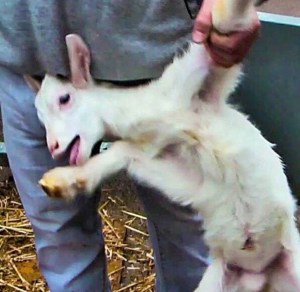 2AD8C882-C071-4F3A-93AC-E7590A920DEB