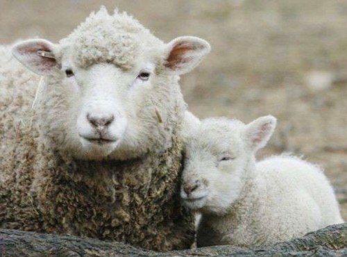 6AD357D9-612E-47ED-AB9A-538285E3FAC0