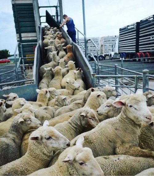 74BBB1DA-5471-4BBC-8B42-0EABD75C89E0