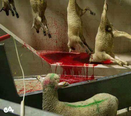 A825F976-E586-4B38-97BE-437A7F43A4BC