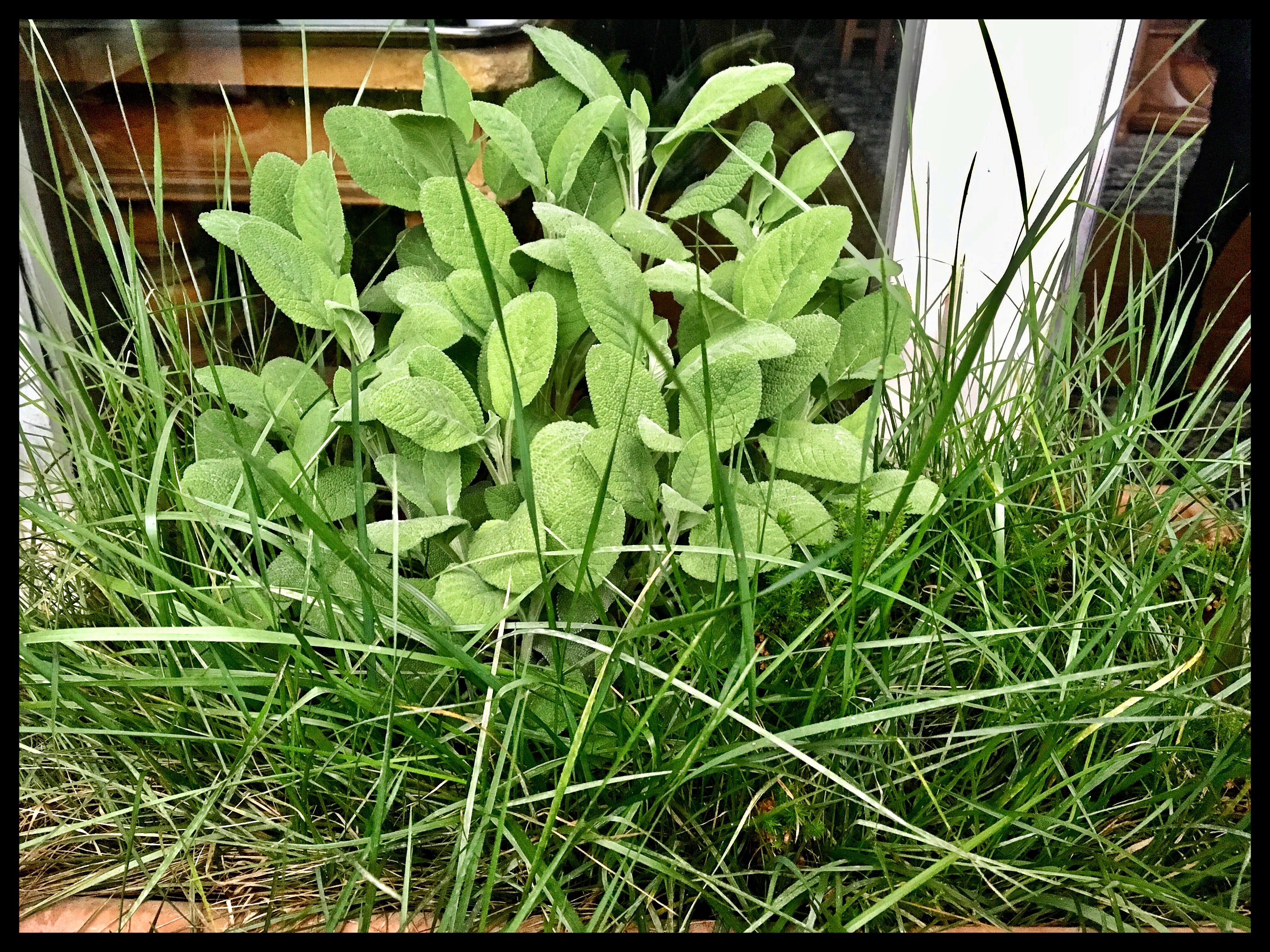 FBA443E9-BAD0-4429-BDE7-42A38011A0DA