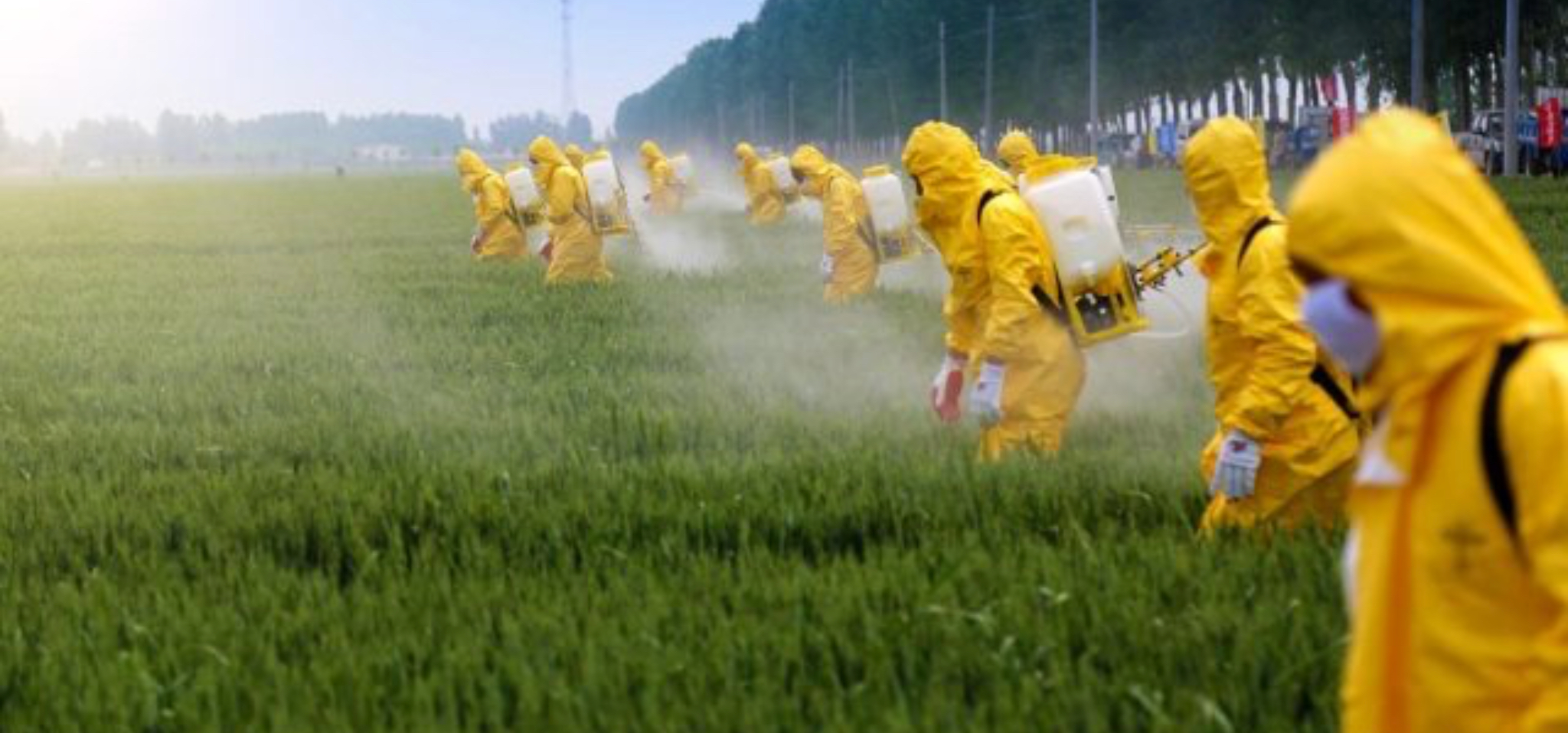 3E5614A0-D7C6-4213-8246-EAE8D8E03AD2