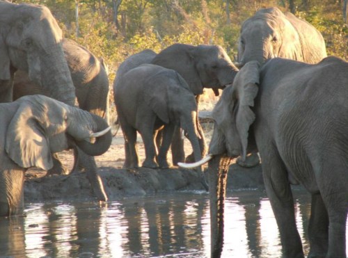 6075EC4C-8F9F-49C3-B6CD-6E5618896BC9