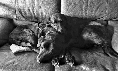 C17E69D3-78D6-438E-9562-060F1954842B