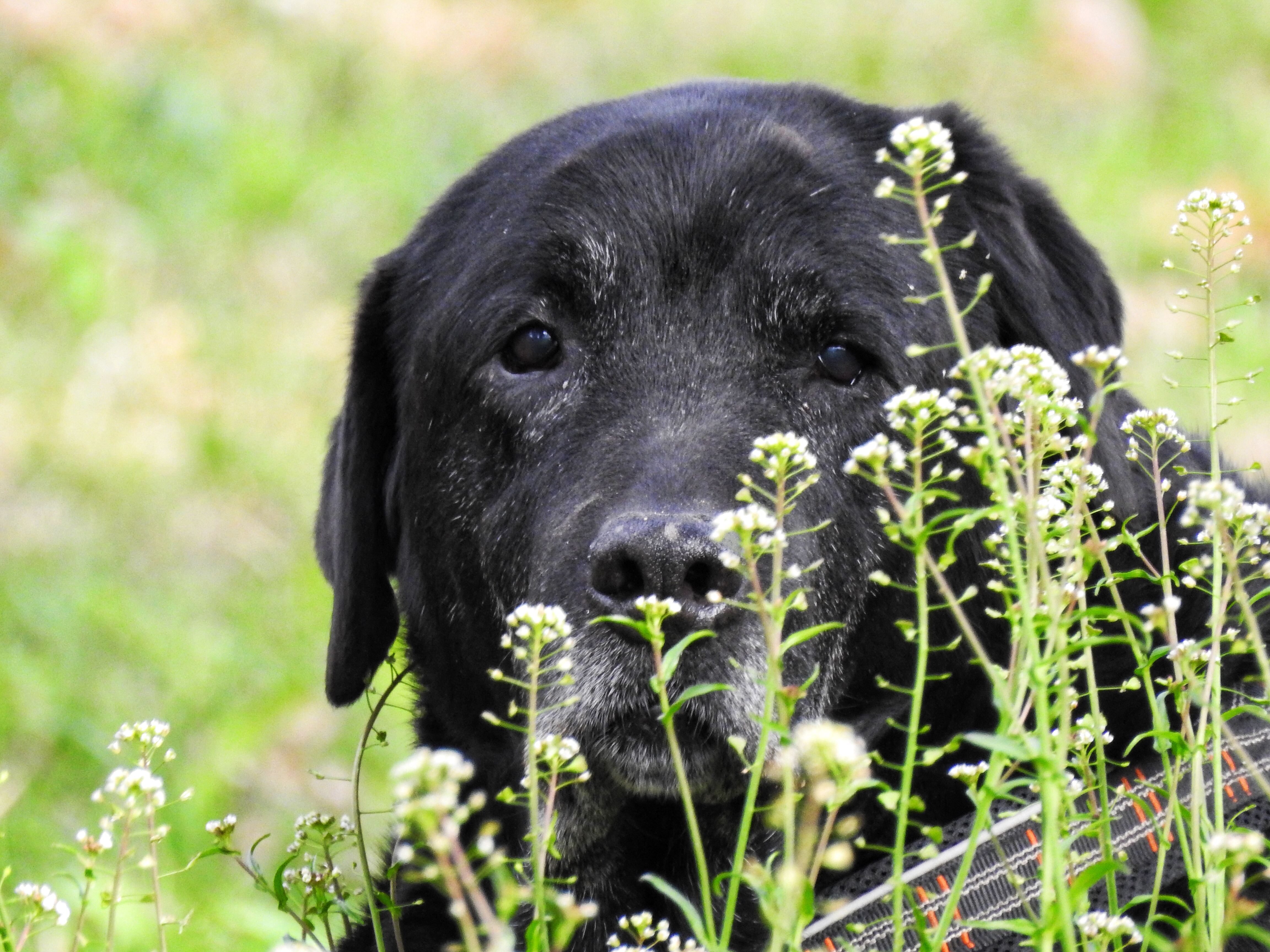 E3B306BA-0ED3-47DA-81C9-5A30C71FB15D