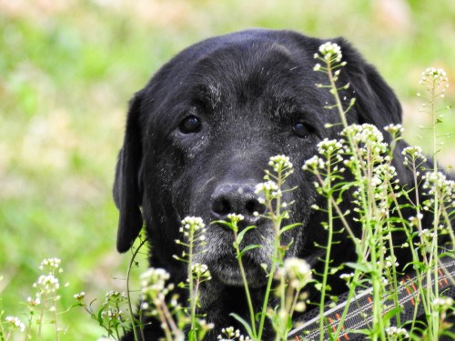 E3B306BA-0ED3-47DA-81C9-5A30C71FB15D