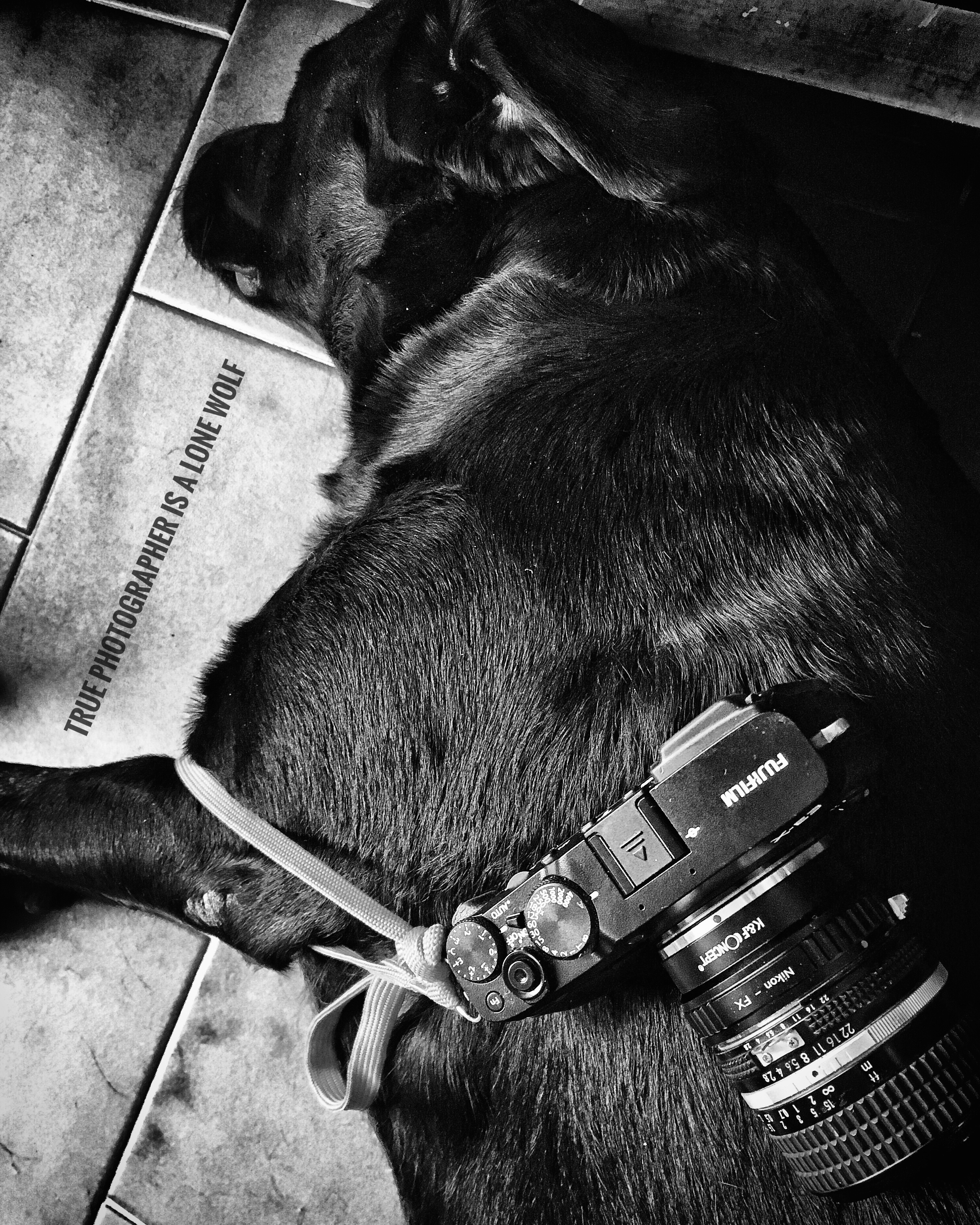 9E4DD838-46C9-4D73-B2F6-40749A0295DE