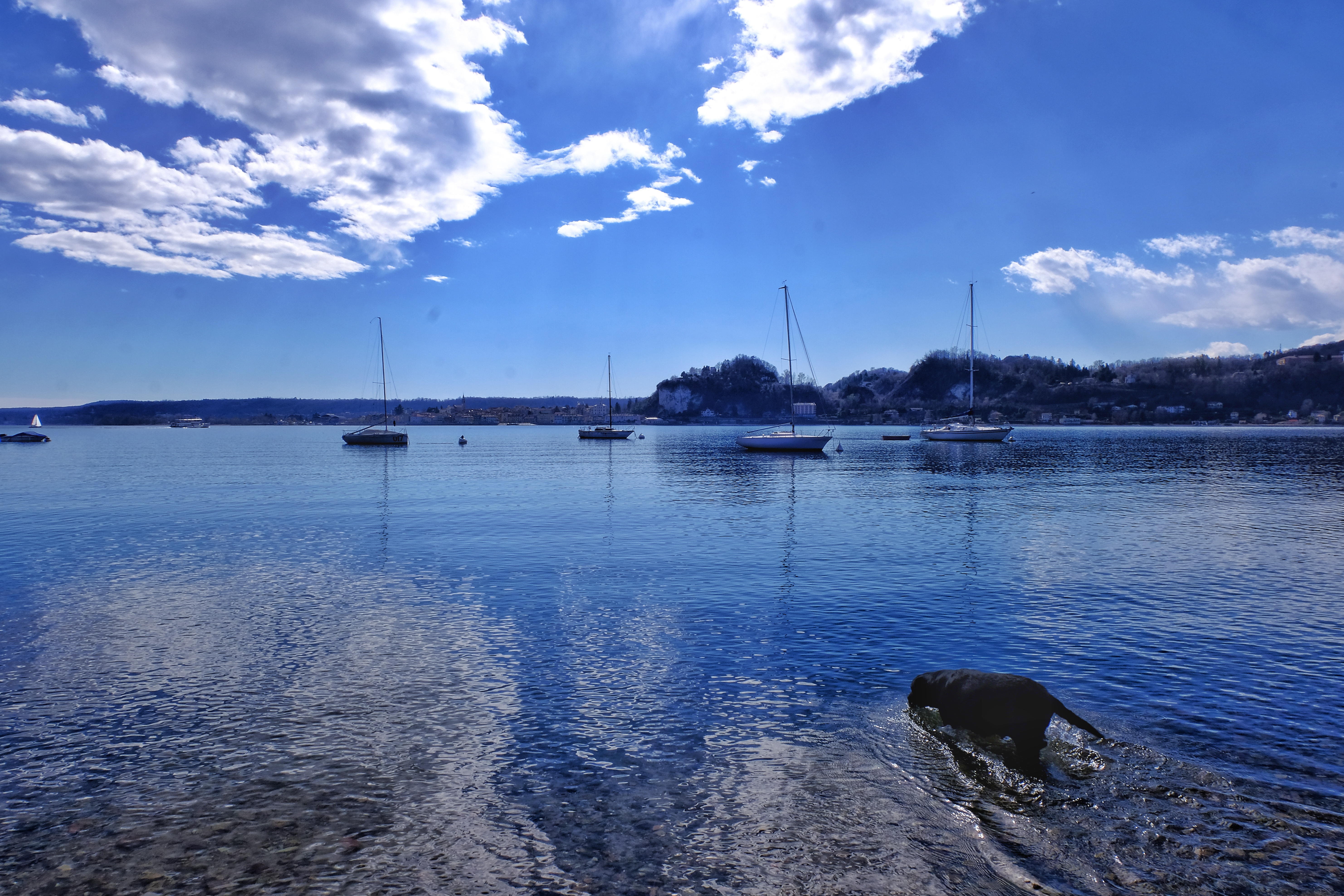 E4E20173-435D-42FE-B125-B0EDAAD0BD39