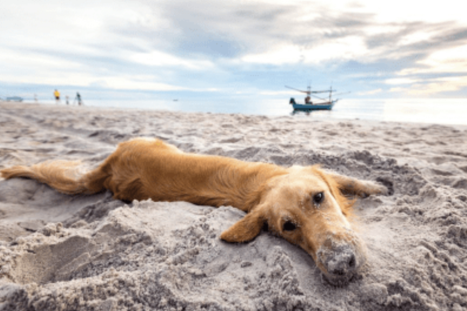 2BFB5C0C-FBF0-47D0-9050-8C6CC33AB9FB