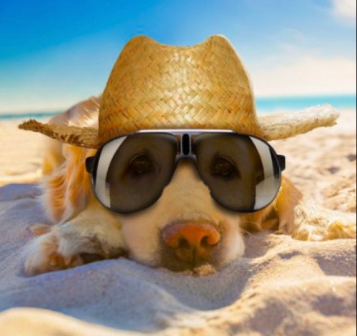 8A5DBCD8-2AA6-4D7F-A1FA-14487E04AF33